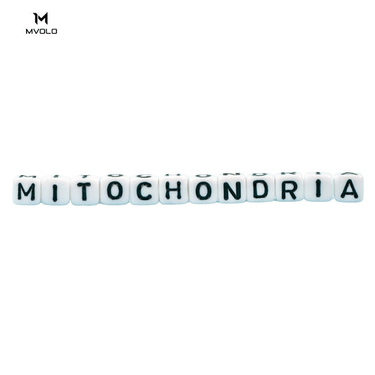 Grafische titel “MITOCHONDRIA” voor blog over mitochondriën