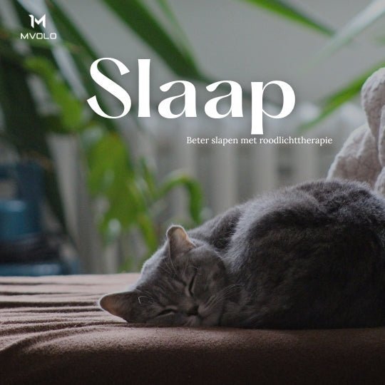 Slapende kat op een bank als rustig beeld bij blog over slaap en roodlichttherapie.