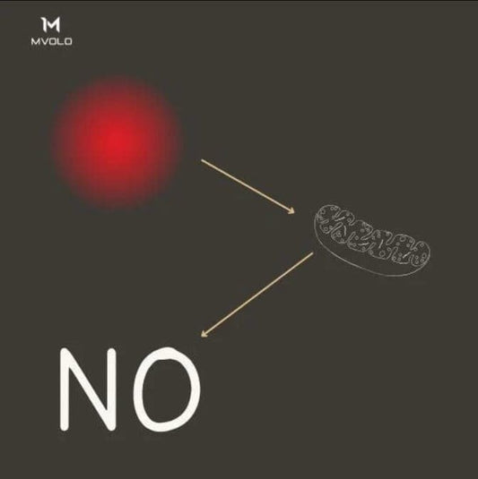 How Mitochondrial Health is Boosted by Red Light Therapy: The Science Behind It - Mvolo