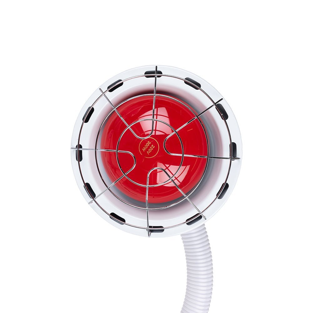 Optimize Your Workday with Red Light and Infrared Therapy