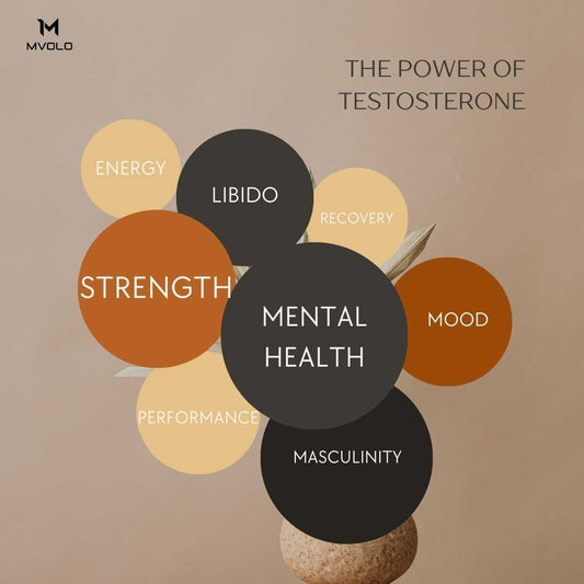 The Power of Testosterone - Mvolo