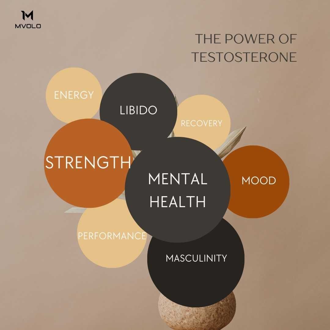 The Power of Testosterone