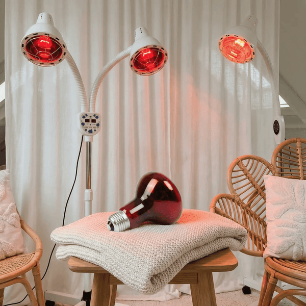 Compare Infrared Lamps: What's the Best Choice for You? -Mvolo