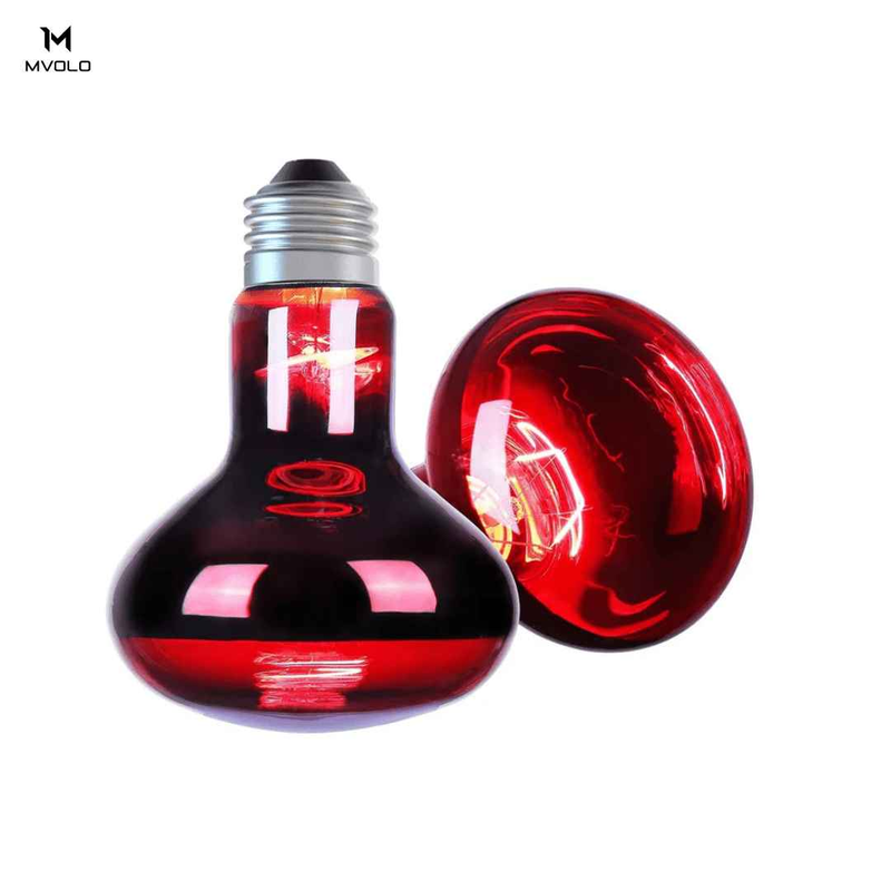 Mvolo Infrarood Bulb verlicht spier- & gewrichtspijn, ondersteunt herstel en stimuleert huidgezondheid met 300W IR-A warmte.